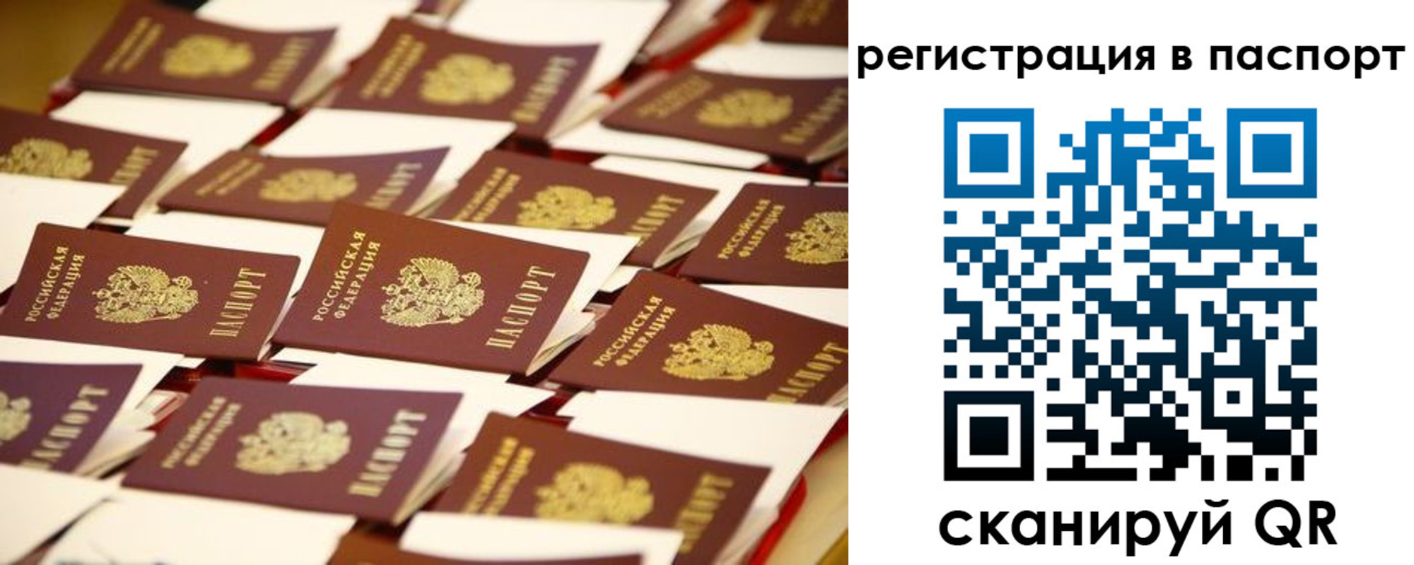 прописка гарантия в Новокузнецке